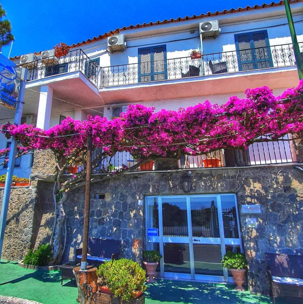 Hotel Bellavista Ischia Buitenkant foto